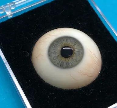 正目义眼关于我们